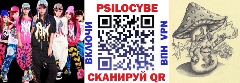 Купить закладки  Кыштым  Галлюциногенные грибы Psilocybe 