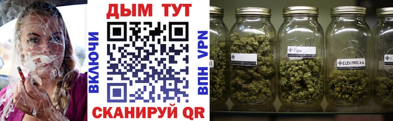 Конопля Amnesia  Купить  Кыштым 